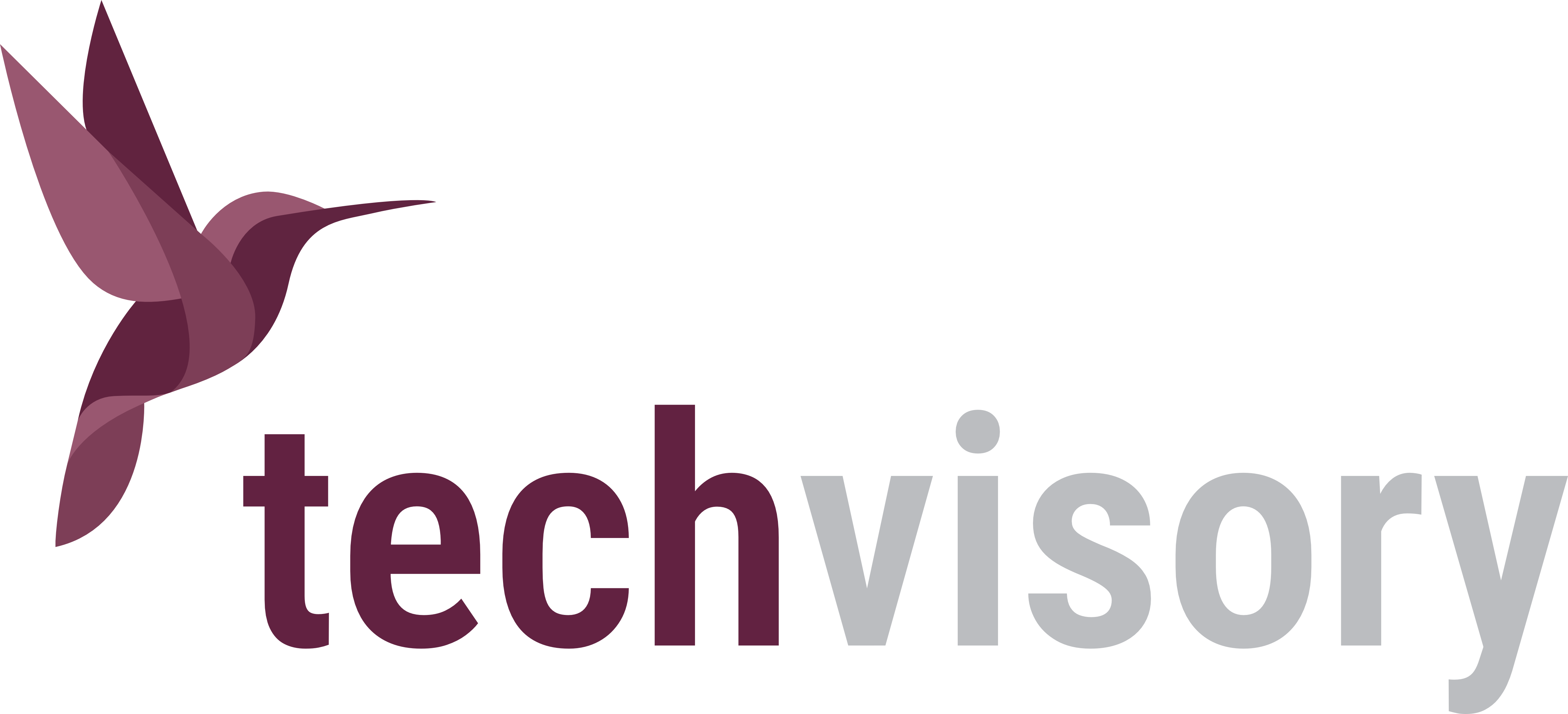 Logo techvisory