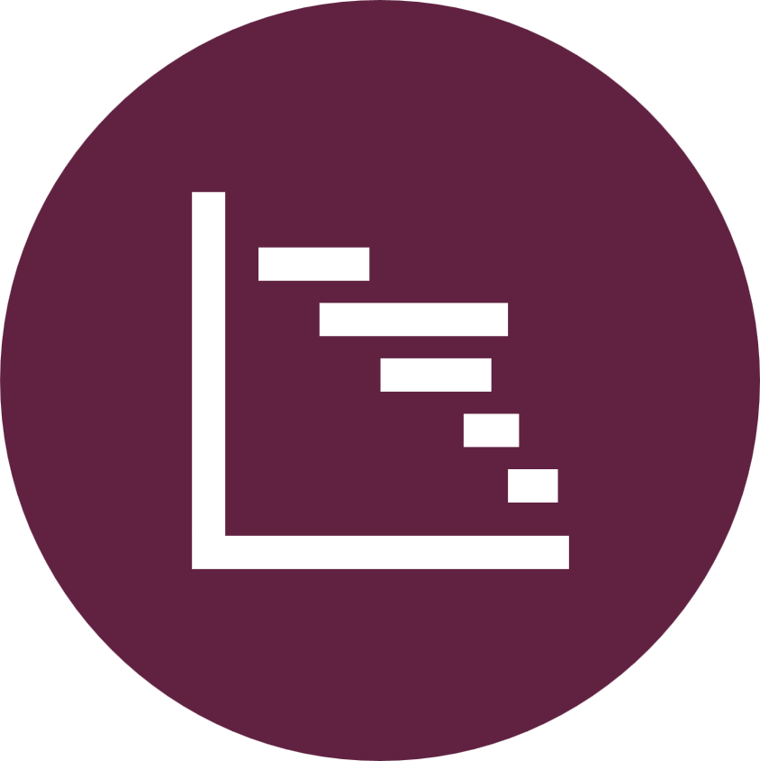 SAP Projektmanagement